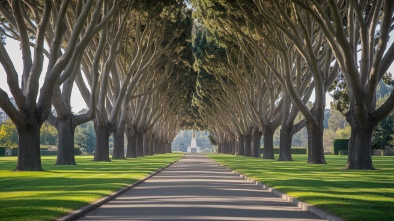 forest lawn memorial park hollywood hills