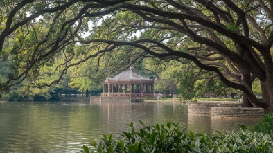 magnolia park