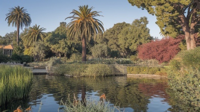 santa barbara botanic garden